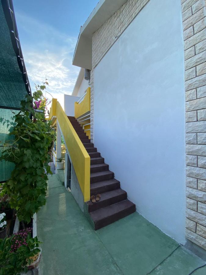 Apartment Elena Donji Okrug  Dış mekan fotoğraf