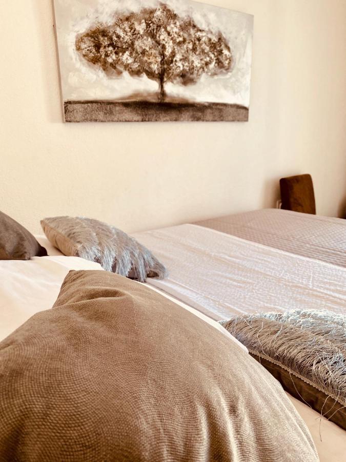 Apartment Elena Donji Okrug  Dış mekan fotoğraf