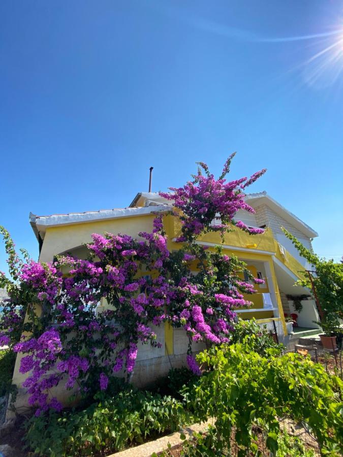 Apartment Elena Donji Okrug  Dış mekan fotoğraf